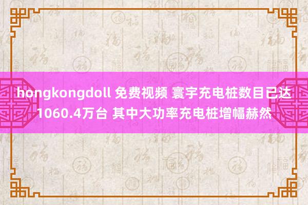 hongkongdoll 免费视频 寰宇充电桩数目已达1060.4万台 其中大功率充电桩增幅赫然