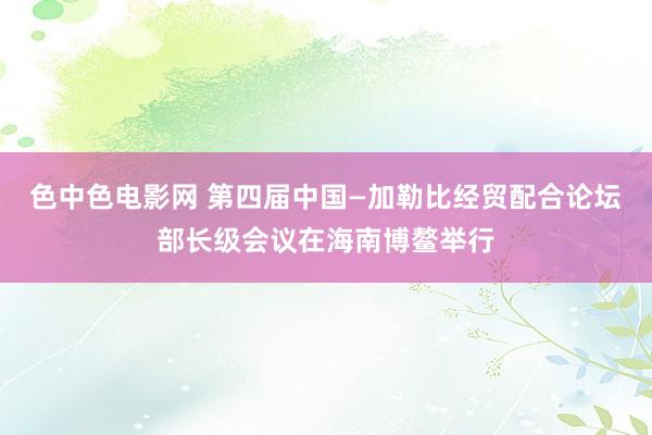 色中色电影网 第四届中国—加勒比经贸配合论坛部长级会议在海南博鳌举行