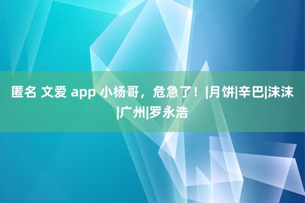 匿名 文爱 app 小杨哥，危急了！|月饼|辛巴|沫沫|广州|罗永浩