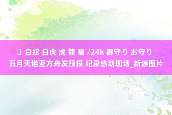 ✨白蛇 白虎 虎 龍 福 /24k 御守り お守り 五月天诺亚方舟发预报 纪录感动现场_新浪图片