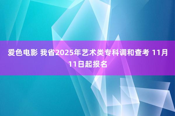 爱色电影 我省2025年艺术类专科调和查考 11月11日起报名