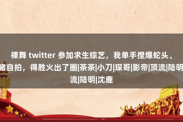 裸舞 twitter 参加求生综艺，我单手捏爆蛇头、骑野猪自拍，得胜火出了圈|茶茶|小刀|琛哥|影帝|顶流|陆明|沈鹿