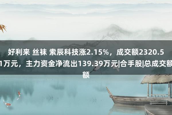 好利来 丝袜 索辰科技涨2.15%，成交额2320.51万元，主力资金净流出139.39万元|合手股|总成交额