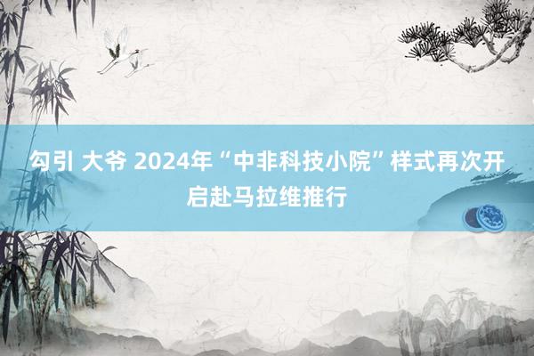 勾引 大爷 2024年“中非科技小院”样式再次开启赴马拉维推行