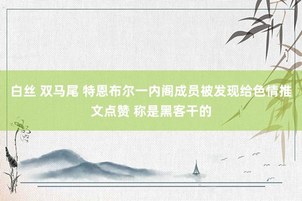 白丝 双马尾 特恩布尔一内阁成员被发现给色情推文点赞 称是黑客干的